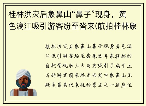 桂林洪灾后象鼻山“鼻子”现身，黄色漓江吸引游客纷至沓来(航拍桂林象鼻山)