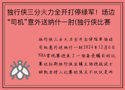 独行侠三分火力全开打停绿军！场边“司机”意外送纳什一肘(独行侠比赛视频)