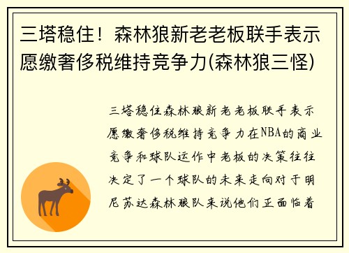 三塔稳住！森林狼新老老板联手表示愿缴奢侈税维持竞争力(森林狼三怪)