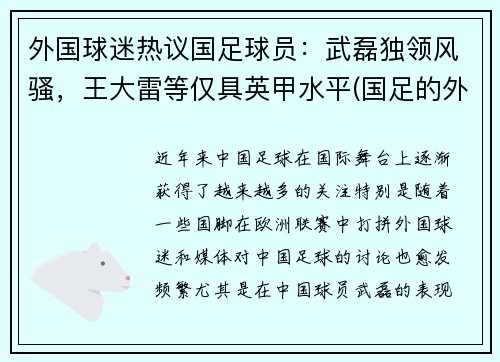 外国球迷热议国足球员：武磊独领风骚，王大雷等仅具英甲水平(国足的外国球迷)