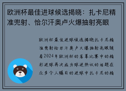 欧洲杯最佳进球候选揭晓：扎卡尼精准兜射、恰尔汗奥卢火爆抽射亮眼